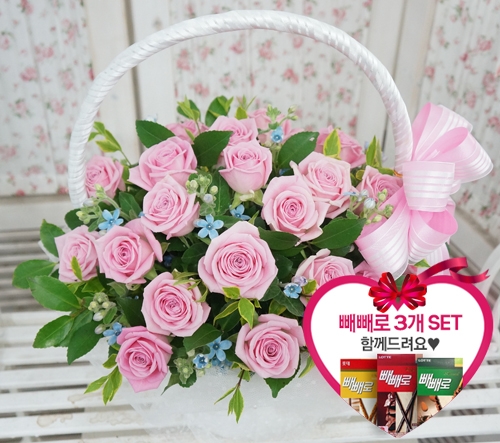 ũ+3set